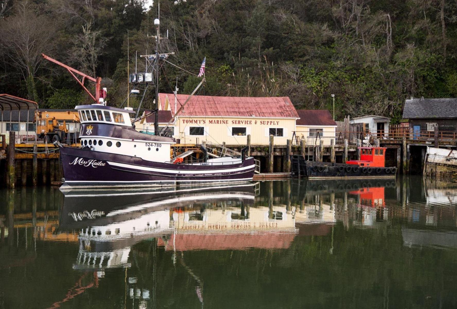 Driftwood Villa Fort Bragg Bagian luar foto