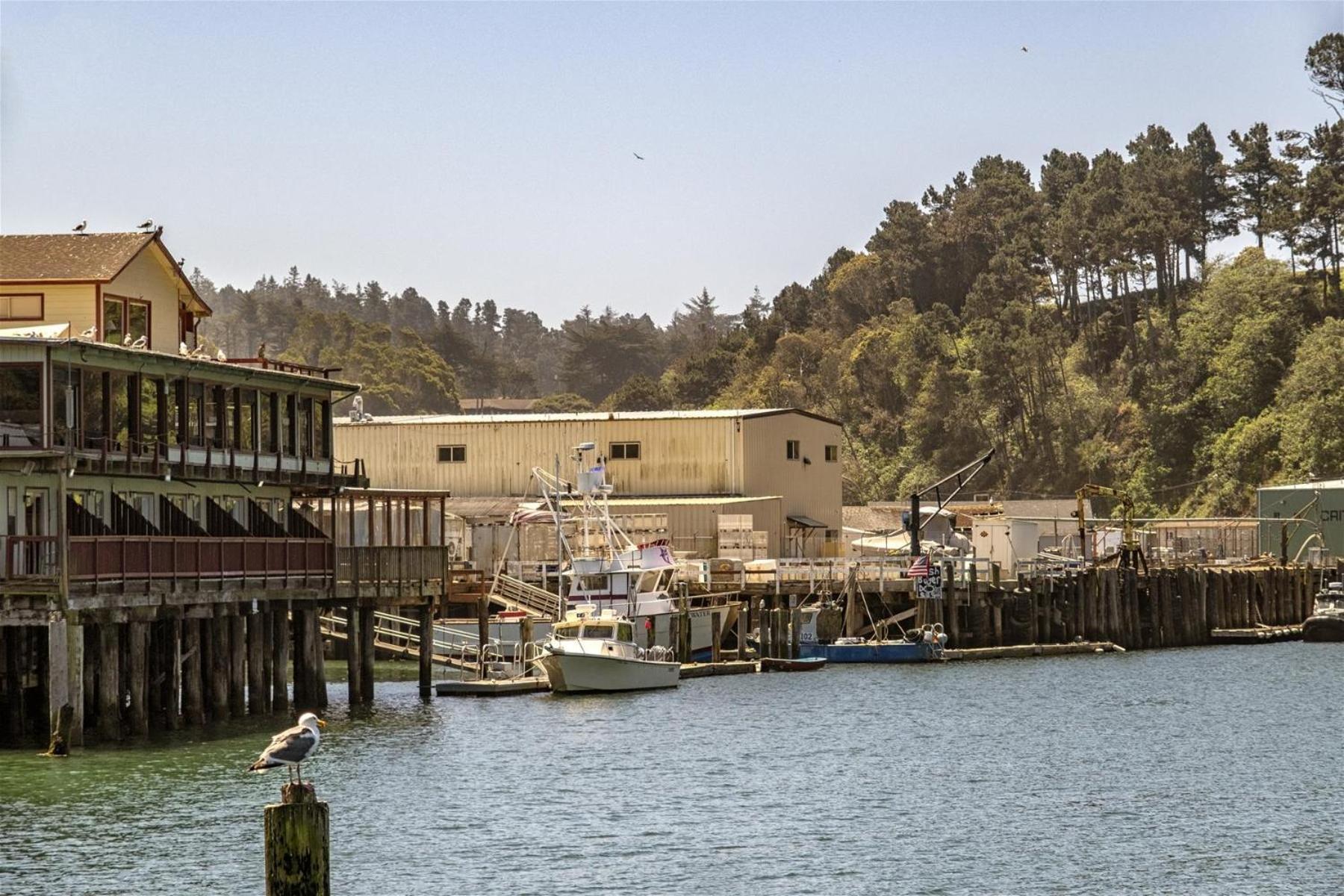 Driftwood Villa Fort Bragg Bagian luar foto